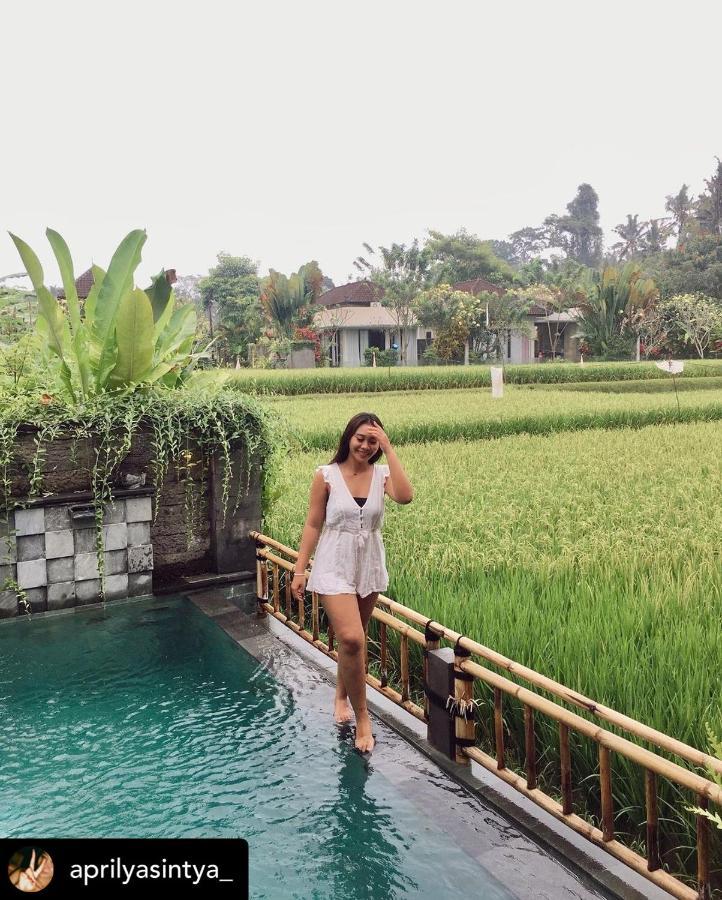 Nirankara Private Pool Villa - By Ubud Paradise Екстер'єр фото