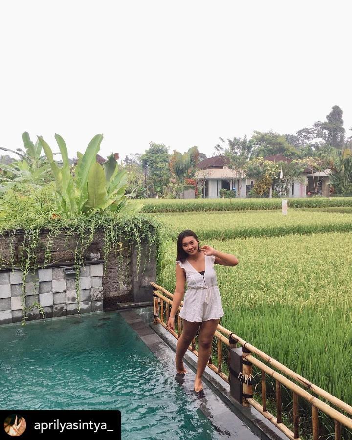 Nirankara Private Pool Villa - By Ubud Paradise Екстер'єр фото