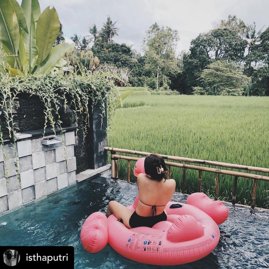 Nirankara Private Pool Villa - By Ubud Paradise Екстер'єр фото